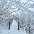 대인카프라자 이미지