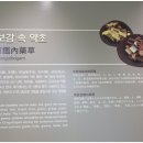 맑은몸한의원 이미지
