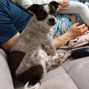 하주초등학교 이미지