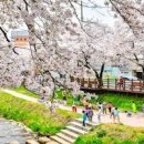 반쟁이공원 이미지