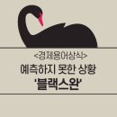 Black Swan 이미지