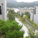 210160 네이버블로그