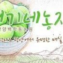 순 농장 이미지