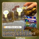 솜사탕2 | [두바이 쫀득쿠키] 수제 꿈꾸는 솜사탕 2세대 쫀득쿠키 수제 디저트 피스타치오 후기