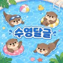 🌊수영 달글 3차🐬 이미지