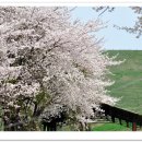 삼화목장 이미지