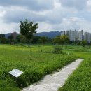 양평파크골프장 이미지