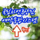 콜PC방 | 국립자연휴양림 예약통합시스템(숲나들e예약)