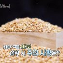 파로 이미지