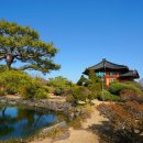 갈멜 왕실의 민박 이미지