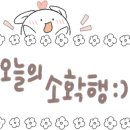 로이드페스츄리