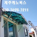 제주캐노픽스 이미지