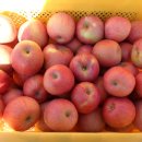 전일농장 이미지