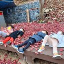 동내초병설유치원 이미지