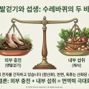 자연과치유 이미지