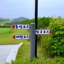 5965 | [26년03월] 자유로cc "대한-통일 코스" 라운딩 후기