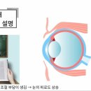 현대안경콘텍트 이미지