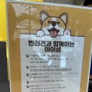 아이섬