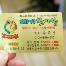 메기 한마당 이미지