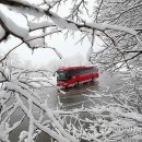 대관령 하루 이미지