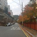 신갈마로-8 이미지