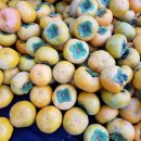 안골농장 이미지