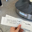 아일랜드 앤 코 | 호주 신혼여행 - 해밀턴 아일랜드 (리프뷰, 비치 클럽, 화이트 헤븐 비치 투어)