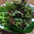 탐나종합어시장 서울대점 이미지