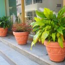 어거스트세븐(August7) 이미지