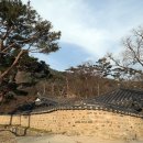 비슬산둘레길 11구간 이미지