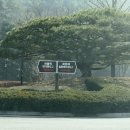 일동레이크대중제골프장 이미지