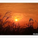 하늘공원 이미지