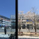 반석프라자 사거리(1) 이미지