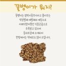 영농조합법인 더듬이(벅스푸드) 이미지