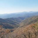 산자연