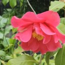 중부대학교 원격대학원 이미지