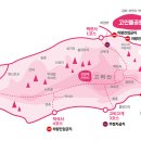 진달래김밥 이미지
