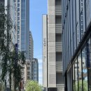 11545-05-15-06 | 도쿄여행 Day-3 / 도쿄 시내 투어 [도쿄타워, 롯폰기, 시부야, 모헤지]