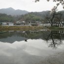 외입석 이미지