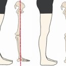 클라라필라테스자이로토닉 네이버블로그