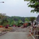 라성관광농원 이미지