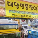 대양민물장어 이미지
