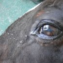 마운틴PC 이미지