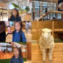 오두목장 이미지