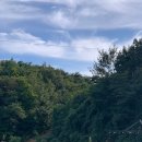 고란집 민박 이미지