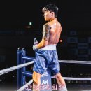 팀 드래곤 복싱 이미지