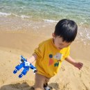 3년만의 속초 여행. (물회, 속초관광수산시장, 속초아이, 삼포해수욕장)