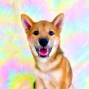 하률로12번길 이미지