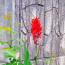 힐타운 공인중개사사무소 이미지