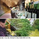 감전초등학교 이미지